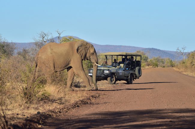 safari-sudafrica-consigli-un-viaggio-indimenticabile